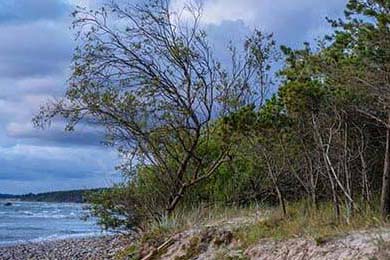 sf夢幻西游發布網新開服