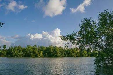 ??夢幻西游私服終極指南,從新手到大佬的進階秘籍??